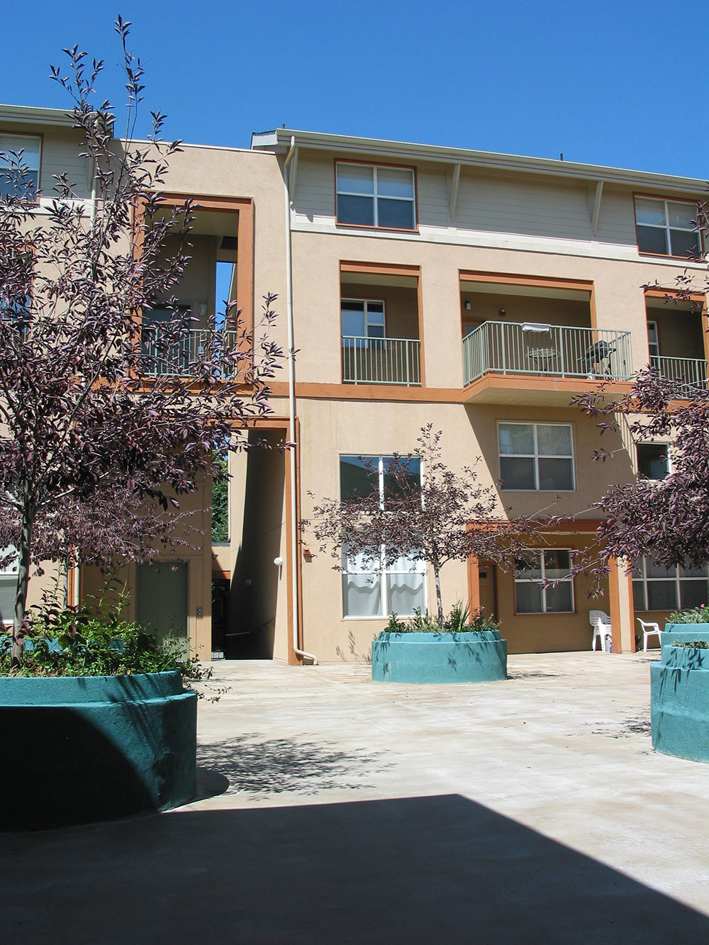 exterior view of courtyard at skyline villas with trees and plantings