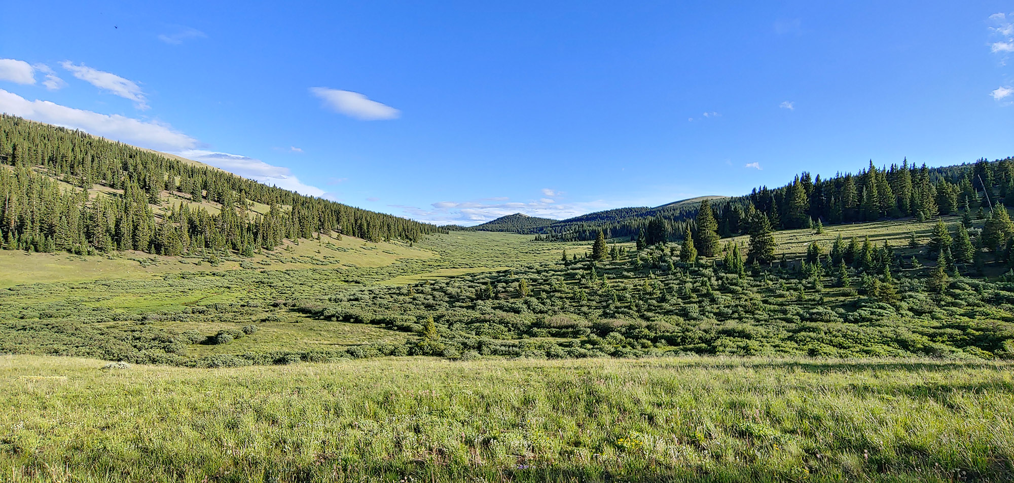 Landscape photo of vegetated green rolling hills