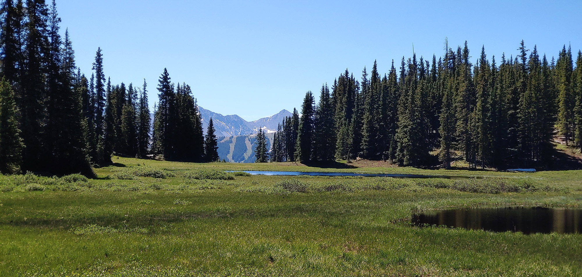 photo of alpine Hiking area near copper mountain