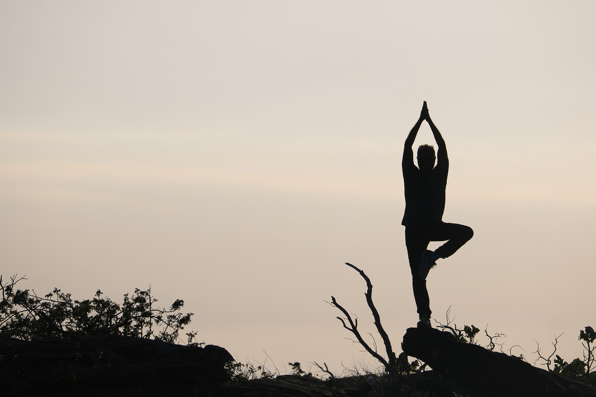 silouhette of person doing tree pose in landscape